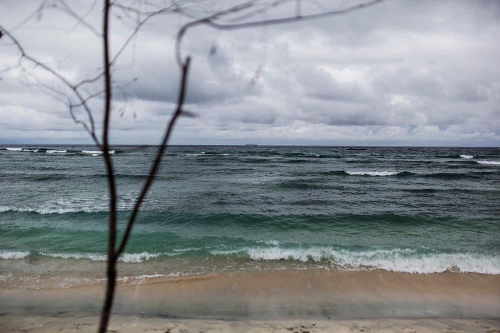 BALI - perfectly disorganised, photograph 6 of 12
