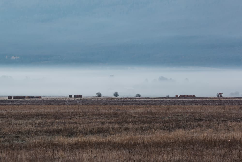 No Country for Young Men, photograph 22 of 26