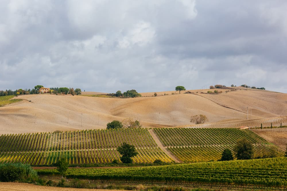 TUSCANY - short and simple, photograph 4 of 13