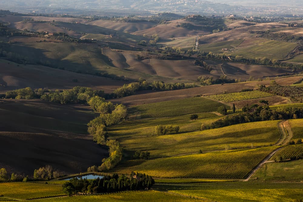 TUSCANY - short and simple, photograph 6 of 13