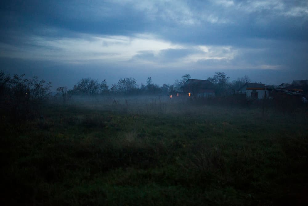 Raw material, photograph 1 of 10