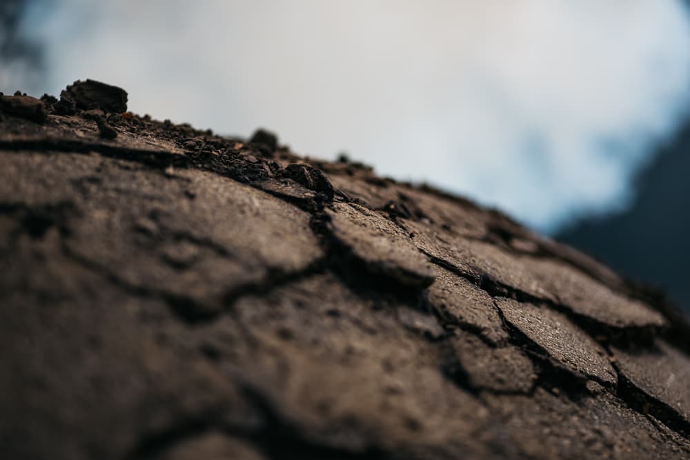 Coal rush, photograph 12 of 15