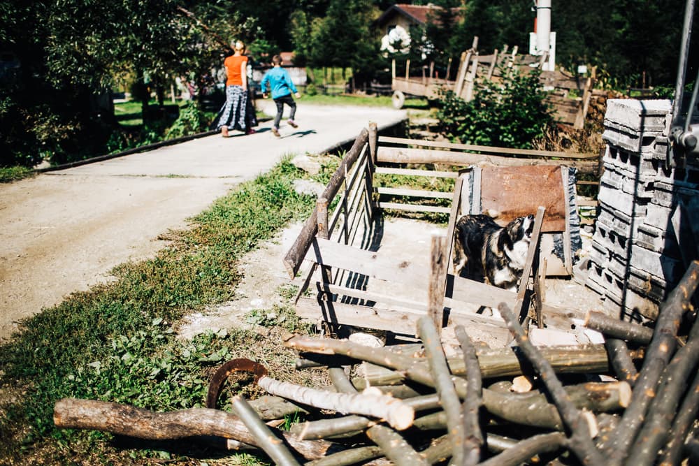 Coal rush, photograph 14 of 15