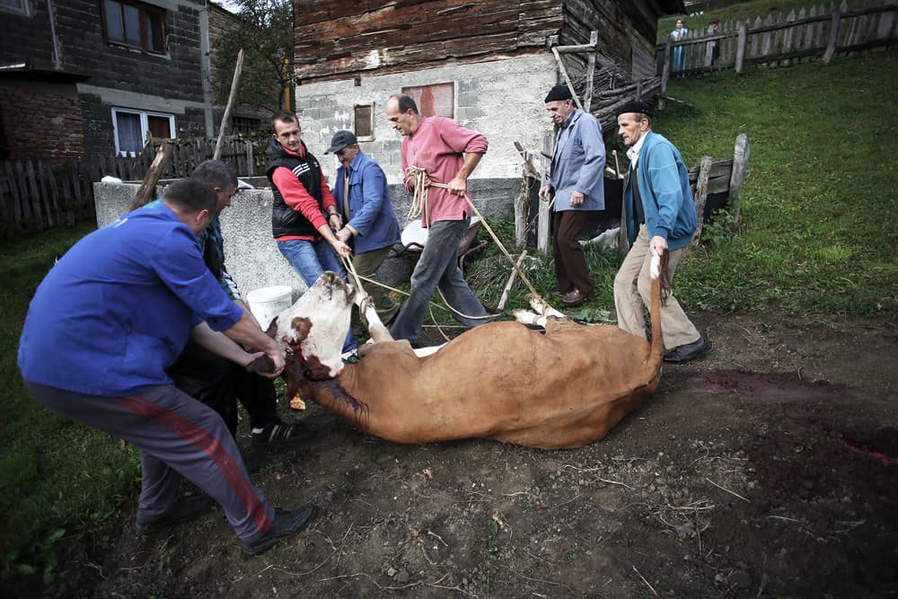 Feast of the sacrifice, photograph 5 of 9