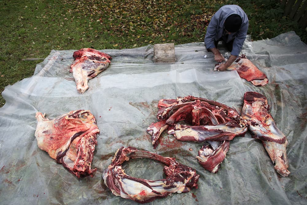 Feast of the sacrifice, photograph 8 of 9