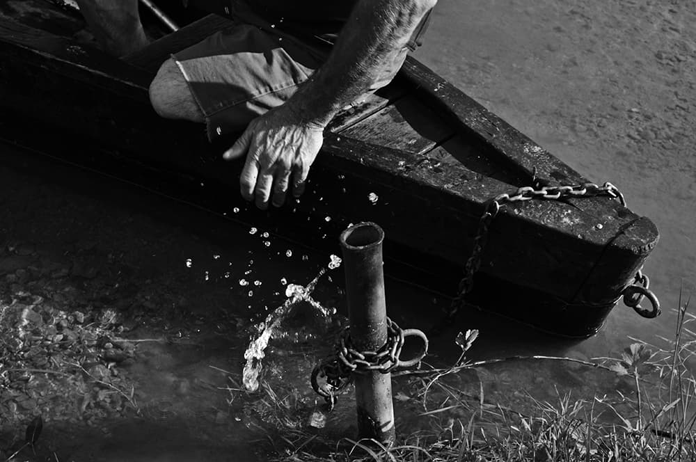Joja - the Friend, photograph 10 of 10