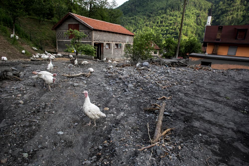 After the Floods, photograph 15 of 24
