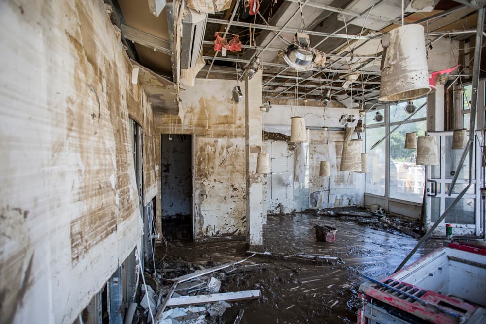 After the Floods, photograph 21 of 24
