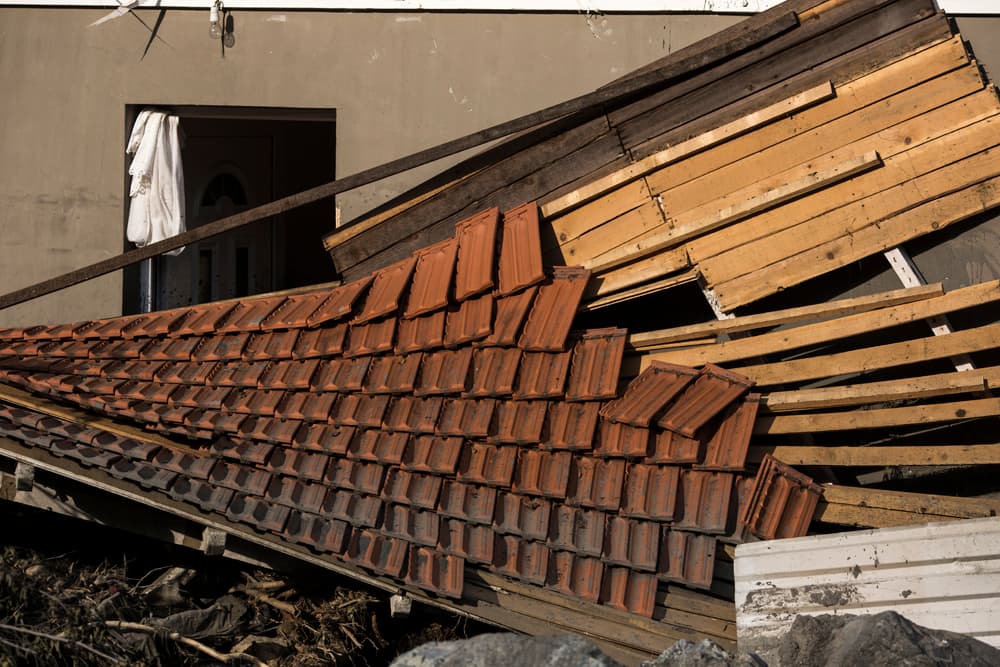 After the Floods, photograph 7 of 24